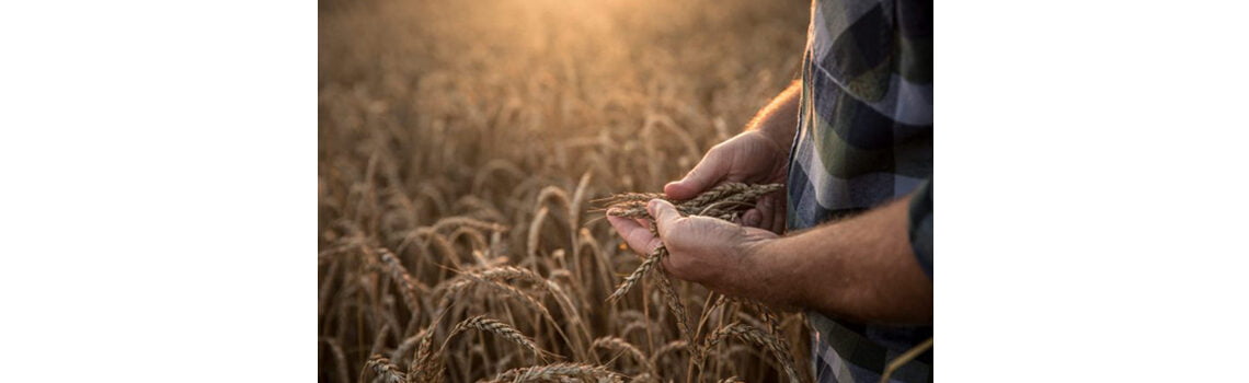 Alianza de Seguros SURA y AgroPro